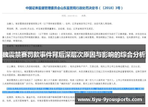 魏震禁赛罚款事件背后深层次原因与影响的综合分析