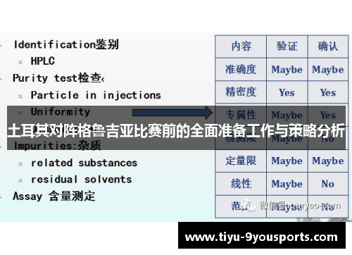 土耳其对阵格鲁吉亚比赛前的全面准备工作与策略分析